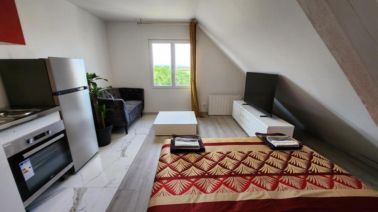Appartement Vue Panoramique Sur La Plaine D'Alsace Andolsheim Ngoại thất bức ảnh